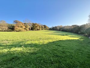 Photo 49- click for photo gallery